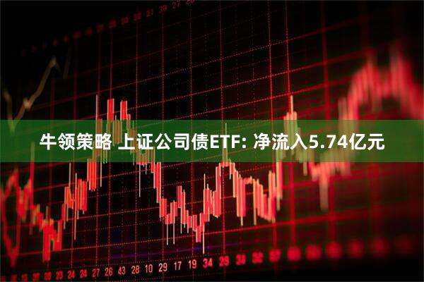牛领策略 上证公司债ETF: 净流入5.74亿元